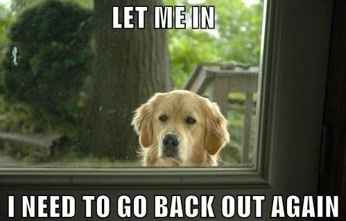 Let me in, I need to go back out again
