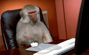 Monkey clicking the mouse